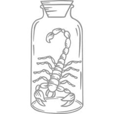 spooky scorpion in jar