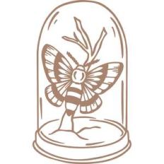 moth in jar