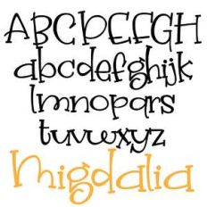 zp migdalia