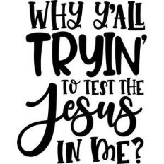 why y'all tryin to test the jesus in me
