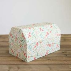 treat box