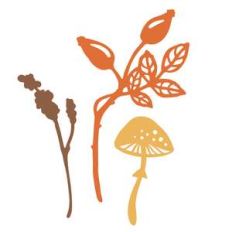 fall forest set - dry herb, rose hip, mushroom
