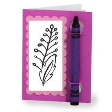 color and sketch book - ferny