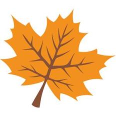 autumn leaf