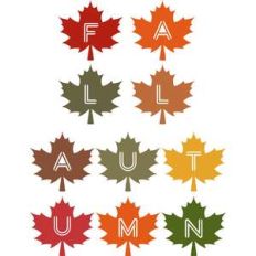 fall and autumn