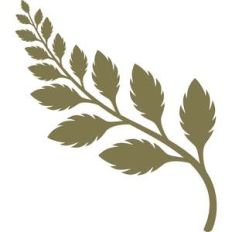 twig leaves