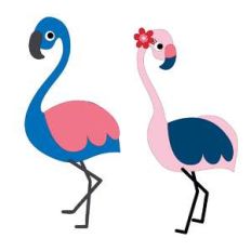 flamingos