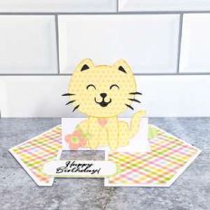 impossible card birthday cat