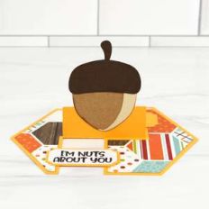 impossible card fall acorn