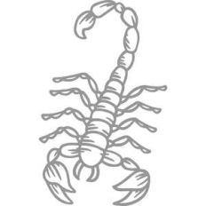 scorpion