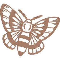 moth