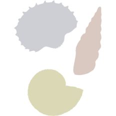shells