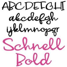 zp schnell bold