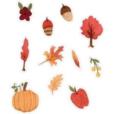 fall fun set