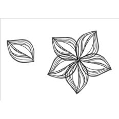 flower and leaf sketch