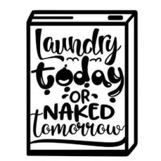 laundry today or naked tomorrow