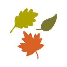 leaves