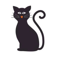 black cat