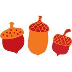 acorns