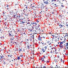 red and blue splatter
