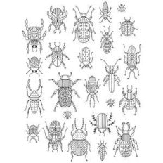 bugs and beetles coloring stickers