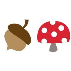 forest finds