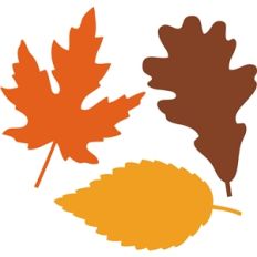 3 fall leaves