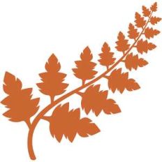 twig leaves
