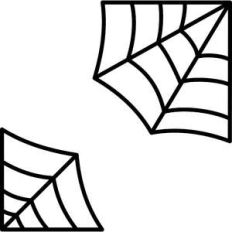 webs corner