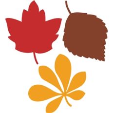 3 fall leaves
