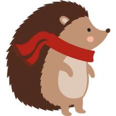 hedgehog