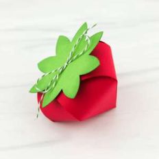 6 sided strawberry box