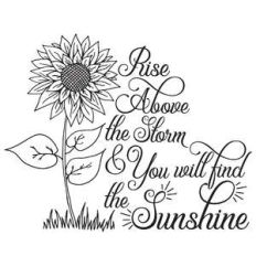 rise above the storm and you will find the sunshine