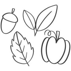 pumpkin and leaves set