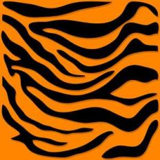 tiger stripes