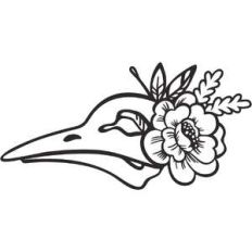 crow skull
