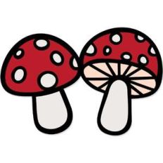 magic mushrooms