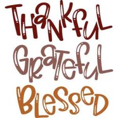 thankful grateful blessed