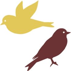 birds