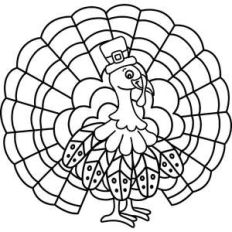 thanksgiving turkey