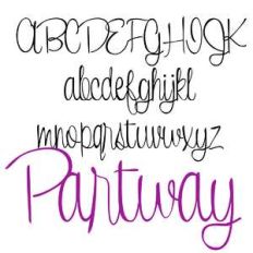 zp partway lite