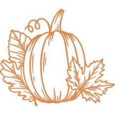 pumpkin with leaves