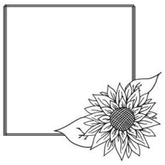 sunflower square sketch frame