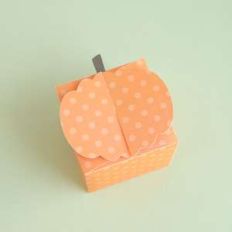 pumpkin box