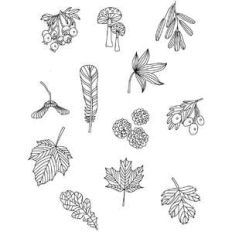 autumn nature coloring stickers