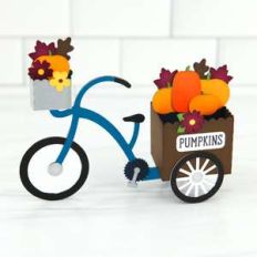 box card pumpkin tricycle