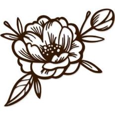 blooming flower