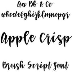 apple crisp brush script font