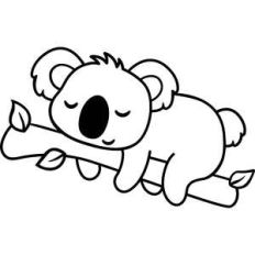 cute koala