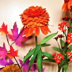 echinacea, mum, dahlia (3 in 1)